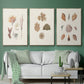 Knorr Shells & Coral VI - Floater Framed Canvas Set