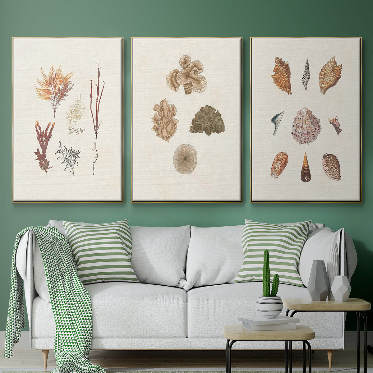 Knorr Shells & Coral VI - Floater Framed Canvas Set