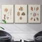 Knorr Shells & Coral VI - Floater Framed Canvas Set