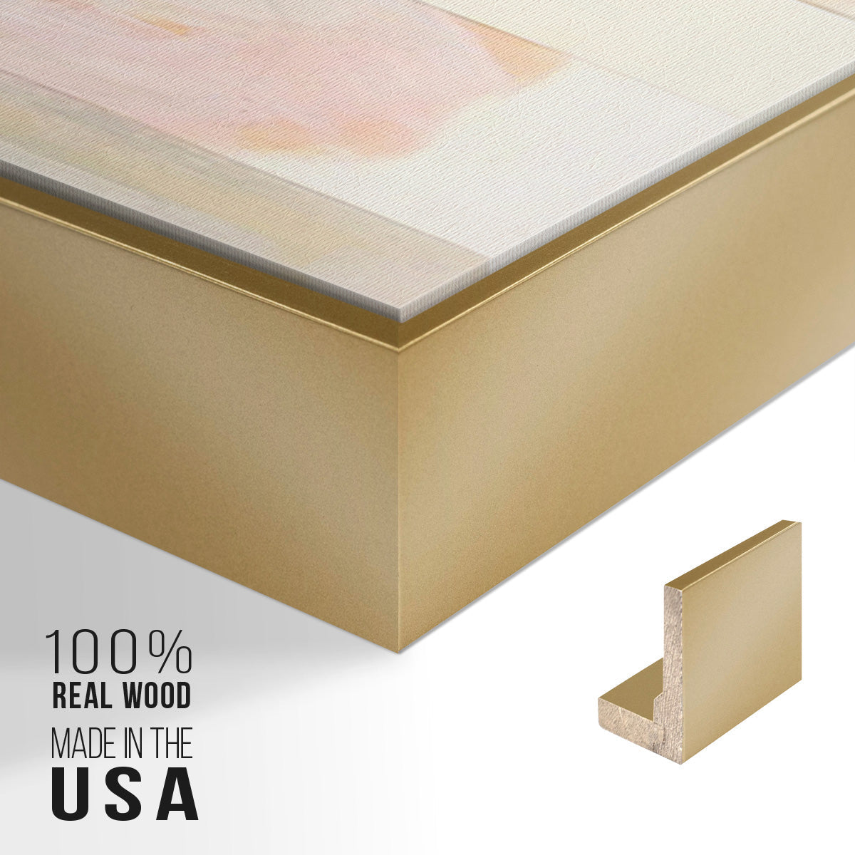 Melon Litmus I - Floater Framed Canvas Set