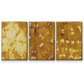 Turmeric Sunrise I - Floater Framed Canvas Set