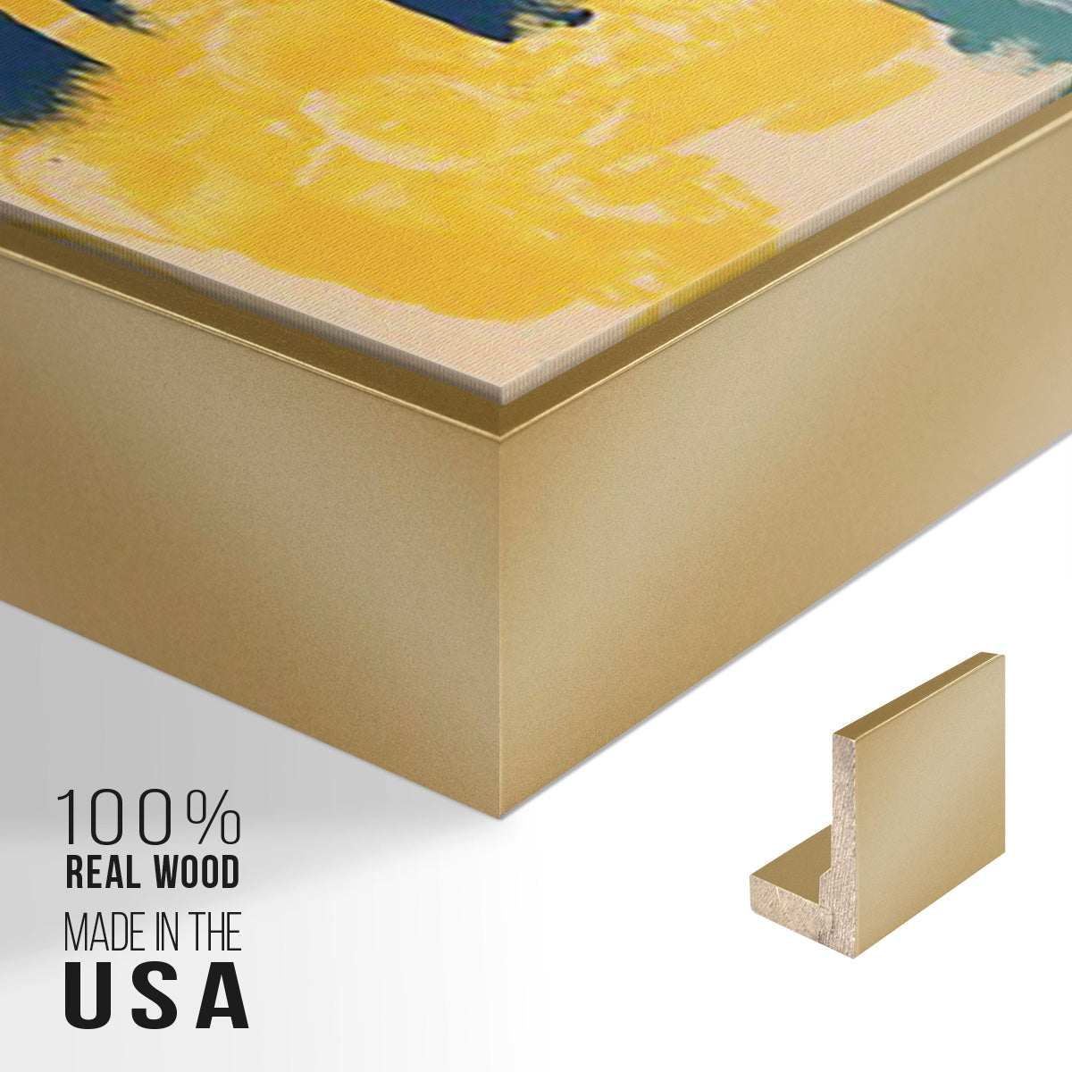 Tropical Graphics I - Floater Framed Canvas Set