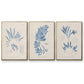 Blue Marine Algae I - Floater Framed Canvas Set