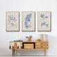 Blue Marine Algae I - Floater Framed Canvas Set