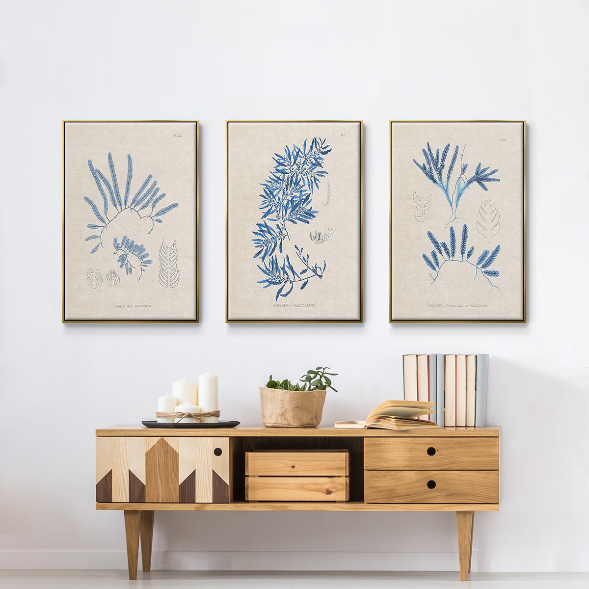 Blue Marine Algae I - Floater Framed Canvas Set