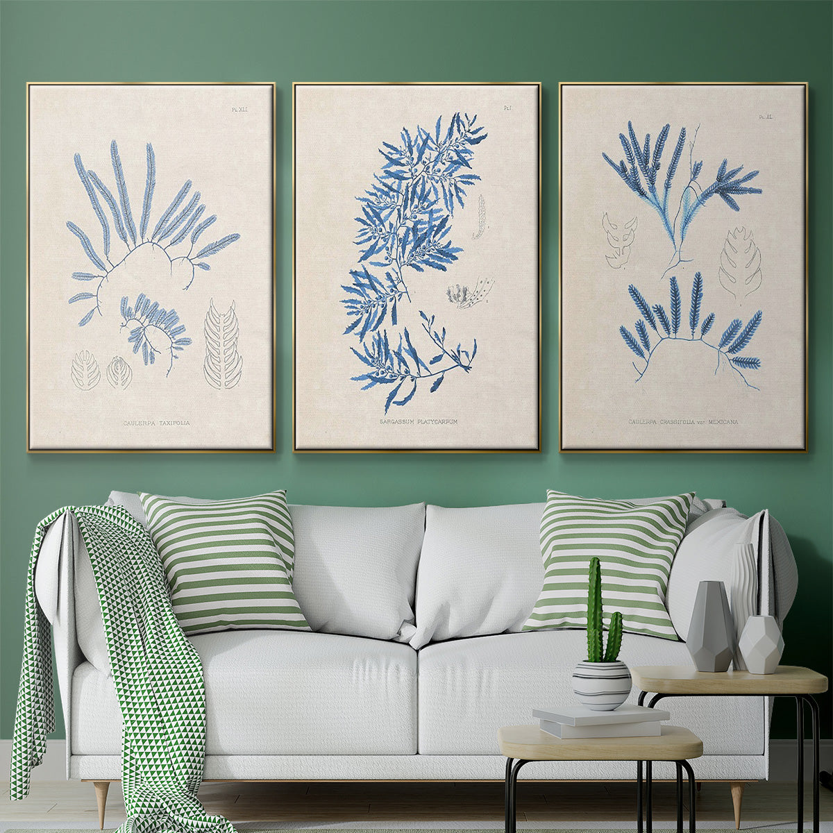 Blue Marine Algae I - Floater Framed Canvas Set