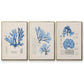 Blue Marine Algae IV - Floater Framed Canvas Set