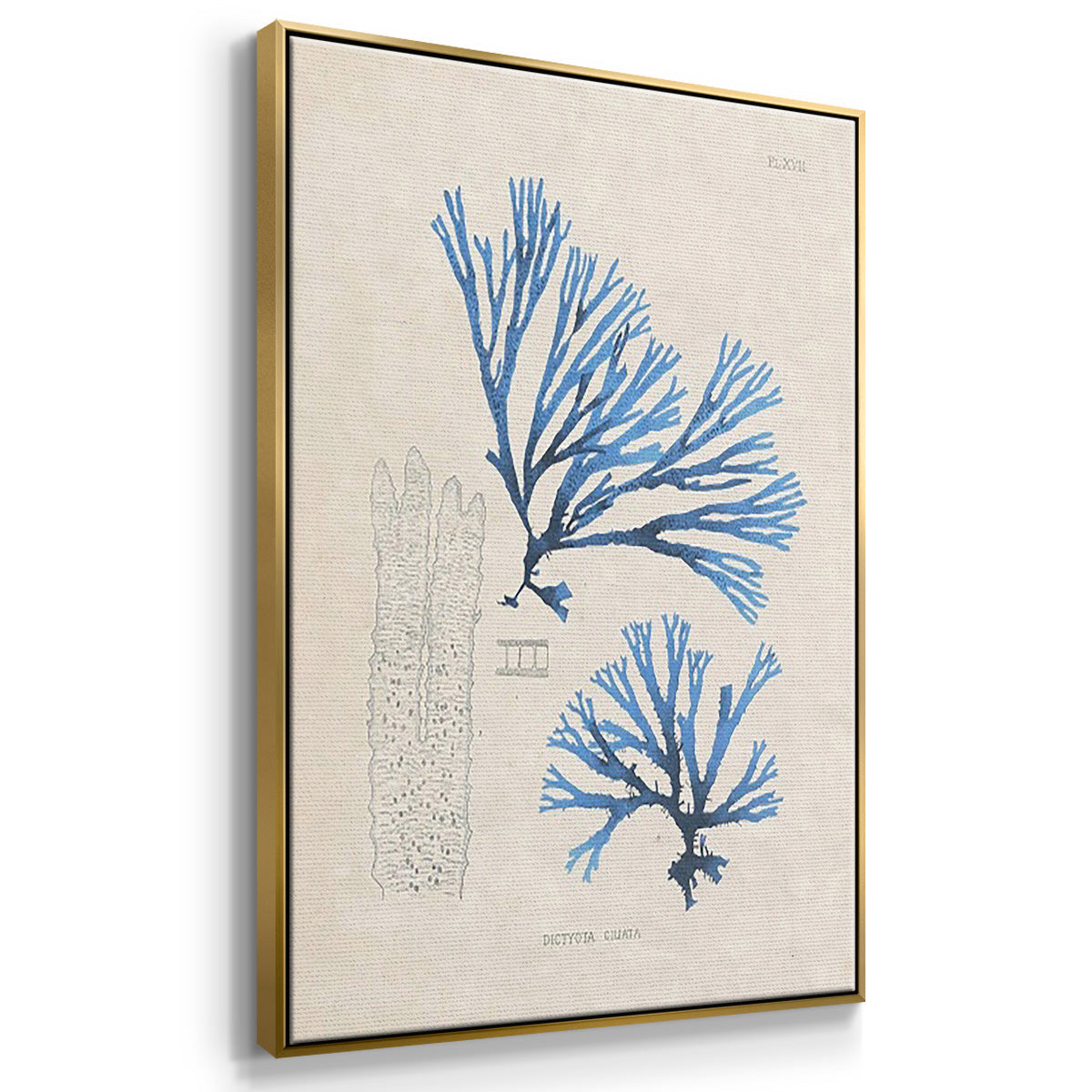 Blue Marine Algae IV - Floater Framed Canvas Set