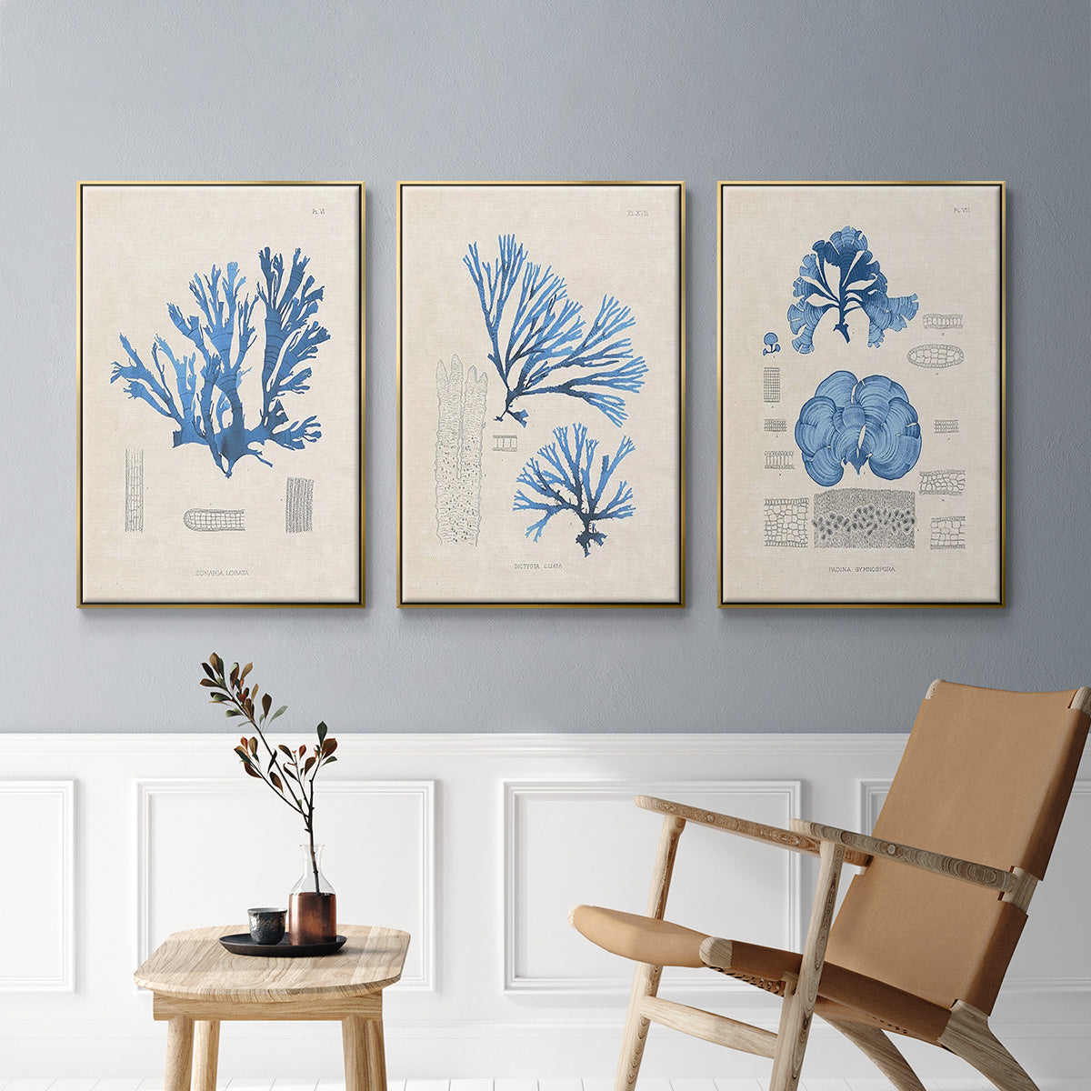 Blue Marine Algae IV - Floater Framed Canvas Set