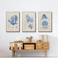 Blue Marine Algae IV - Floater Framed Canvas Set