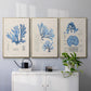 Blue Marine Algae IV - Floater Framed Canvas Set