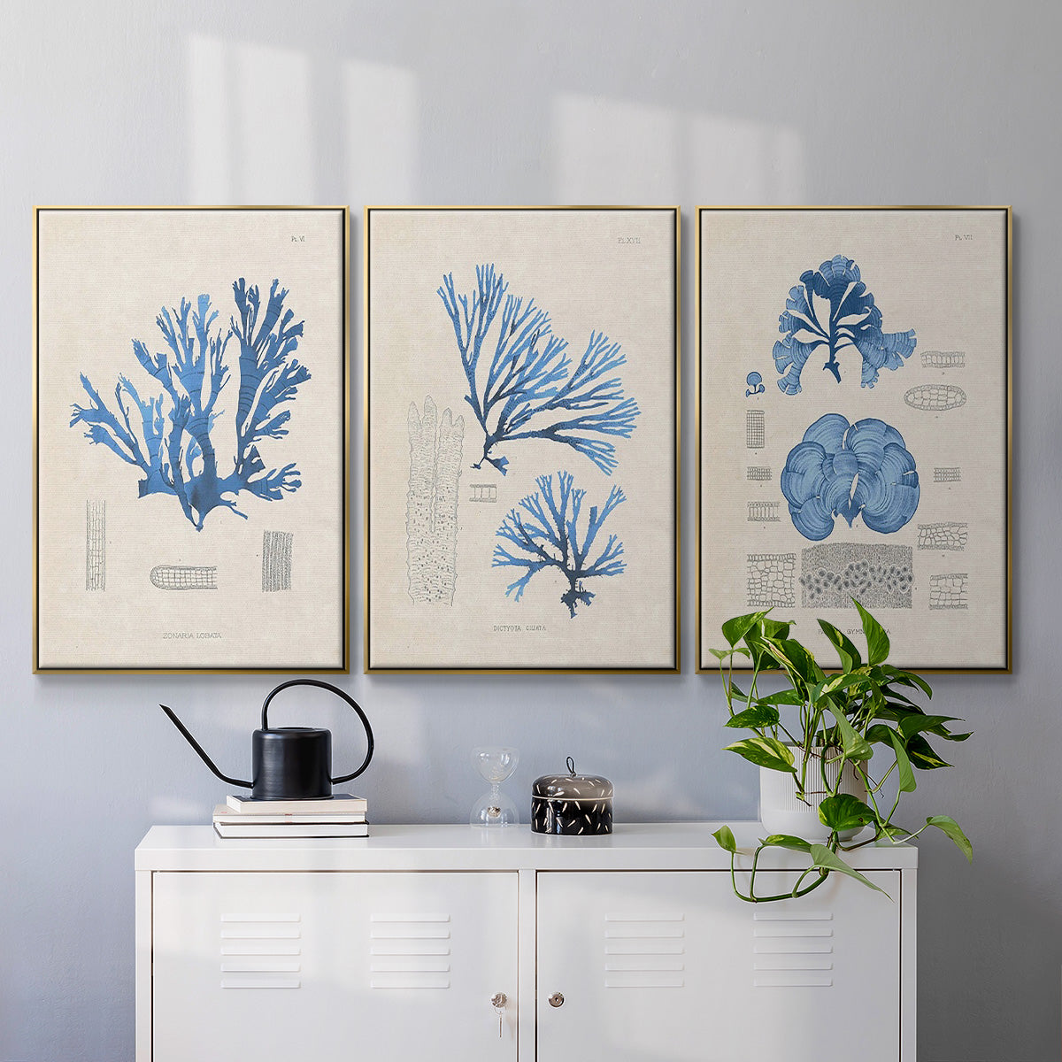 Blue Marine Algae IV - Floater Framed Canvas Set