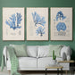 Blue Marine Algae IV - Floater Framed Canvas Set