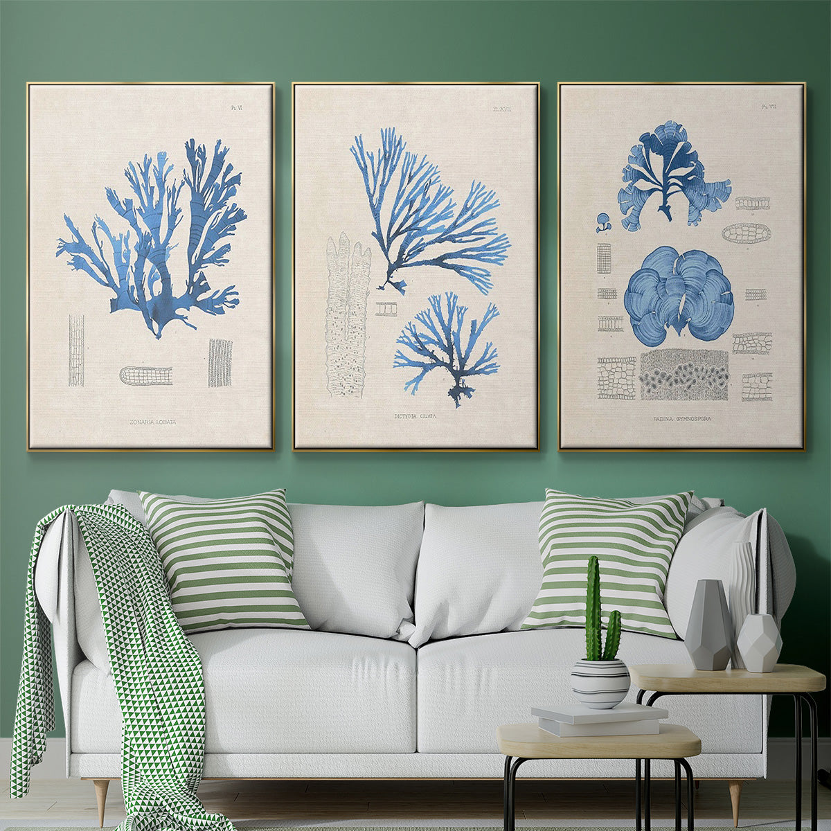 Blue Marine Algae IV - Floater Framed Canvas Set