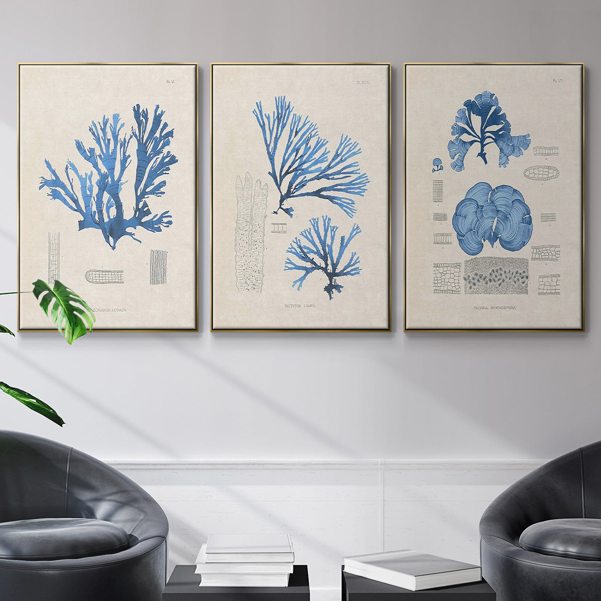 Blue Marine Algae IV - Floater Framed Canvas Set