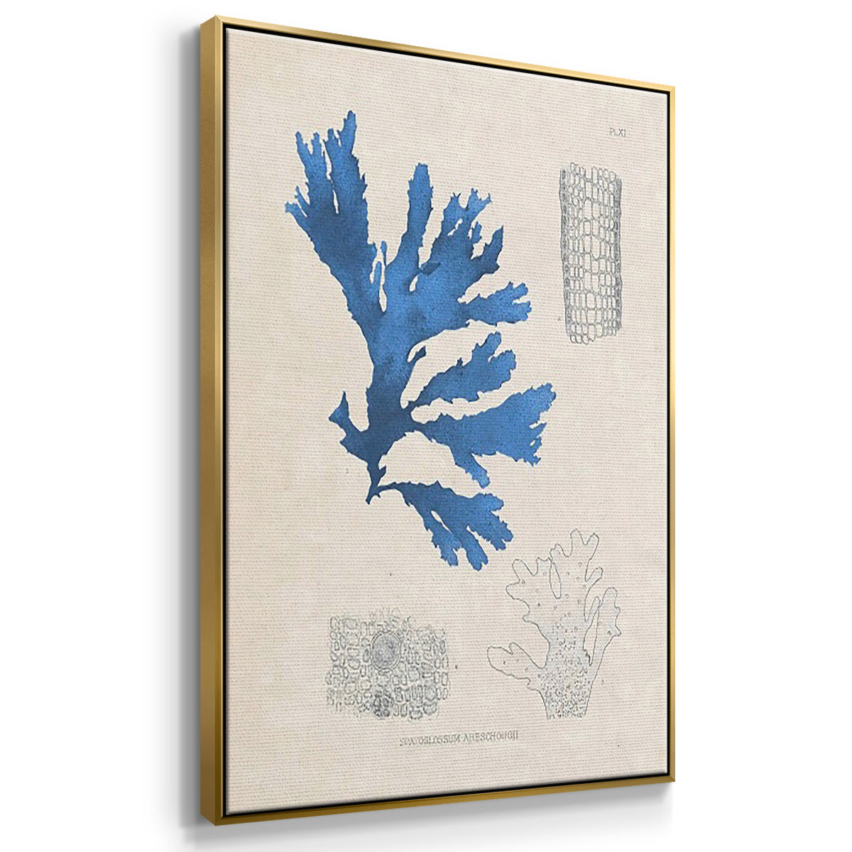Blue Marine Algae VI - Floater Framed Canvas Set