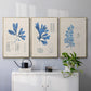 Blue Marine Algae VI - Floater Framed Canvas Set
