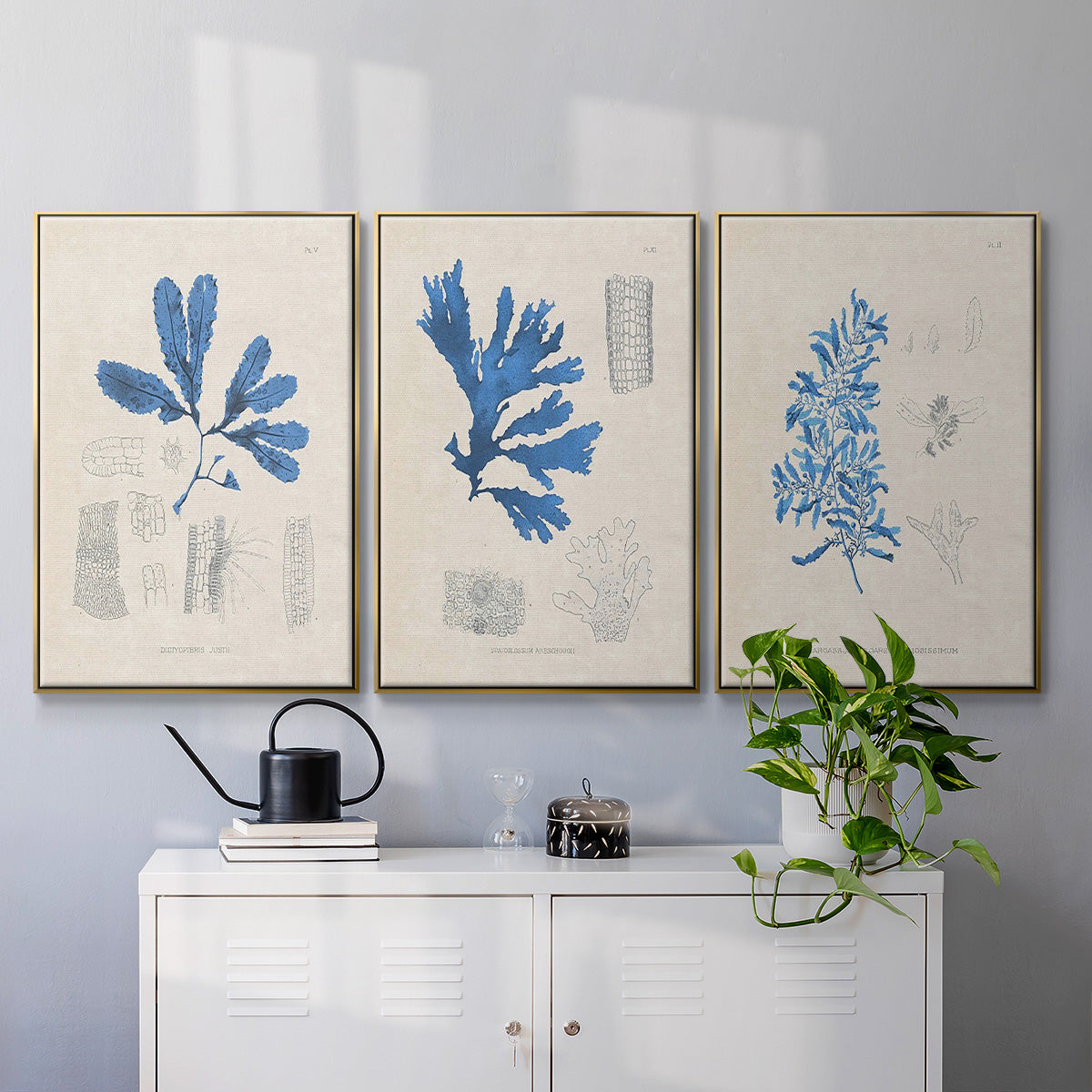 Blue Marine Algae VI - Floater Framed Canvas Set