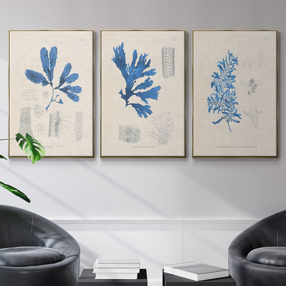 Blue Marine Algae VI - Floater Framed Canvas Set