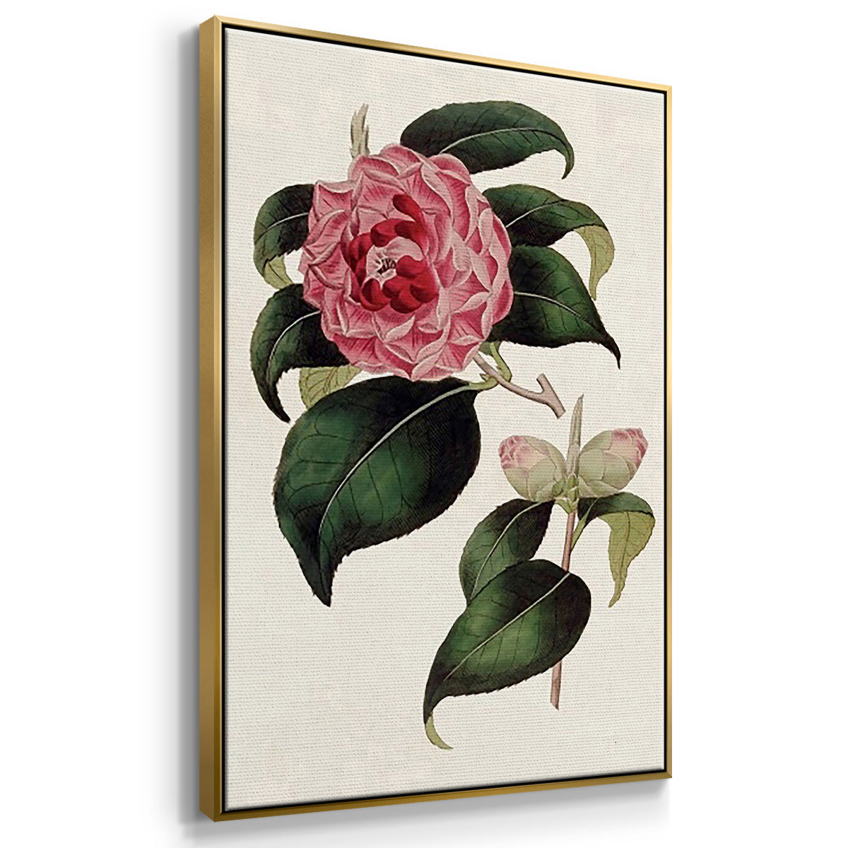 Pink Floral Mix I - Floater Framed Canvas Set