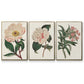 Pink Floral Mix VI - Floater Framed Canvas Set