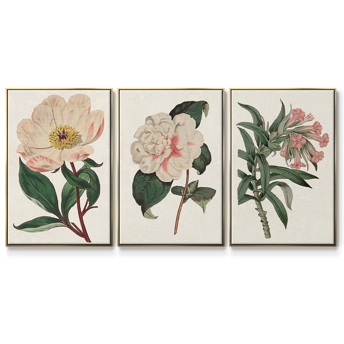 Pink Floral Mix VI - Floater Framed Canvas Set
