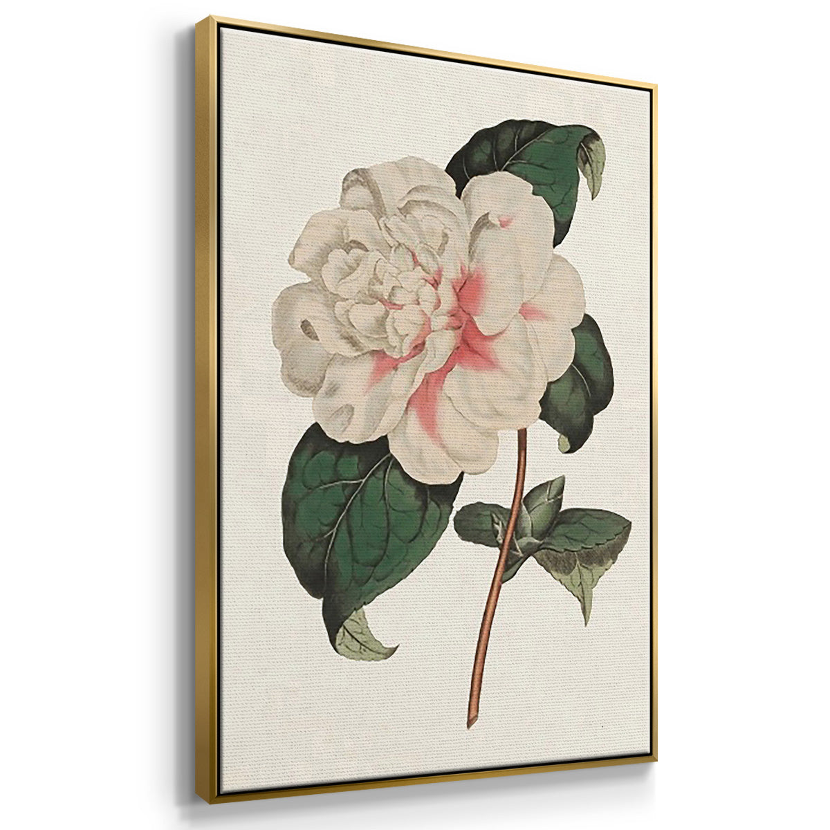 Pink Floral Mix VI - Floater Framed Canvas Set