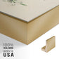 Antique Almond Botanical I - Floater Framed Canvas Set