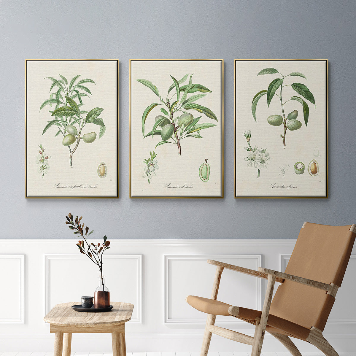 Antique Almond Botanical I - Floater Framed Canvas Set