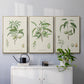 Antique Almond Botanical I - Floater Framed Canvas Set