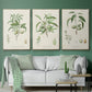 Antique Almond Botanical I - Floater Framed Canvas Set