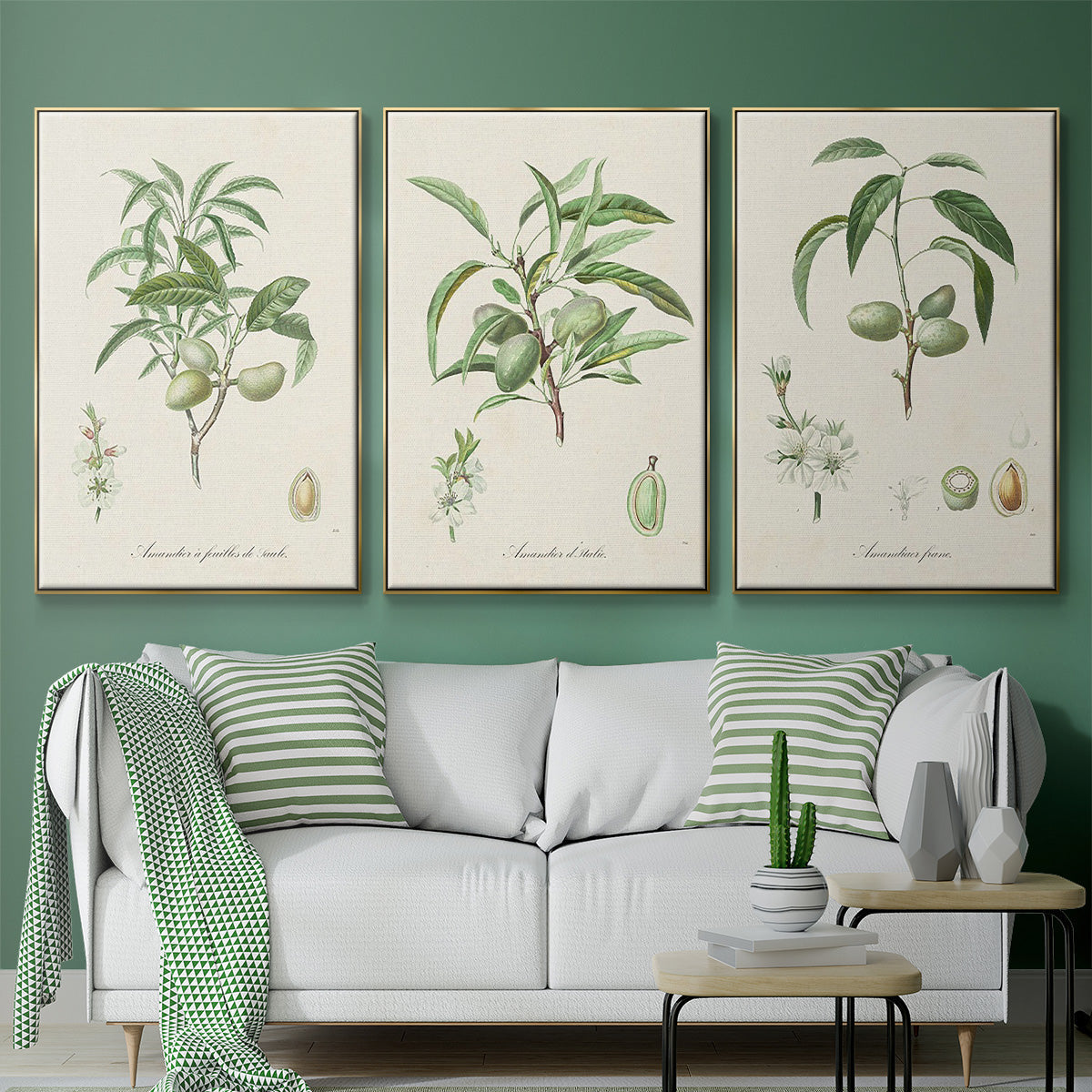 Antique Almond Botanical I - Floater Framed Canvas Set