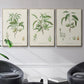 Antique Almond Botanical I - Floater Framed Canvas Set
