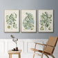 Buchoz Tropicals IX - Floater Framed Canvas Set