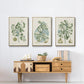 Buchoz Tropicals IX - Floater Framed Canvas Set