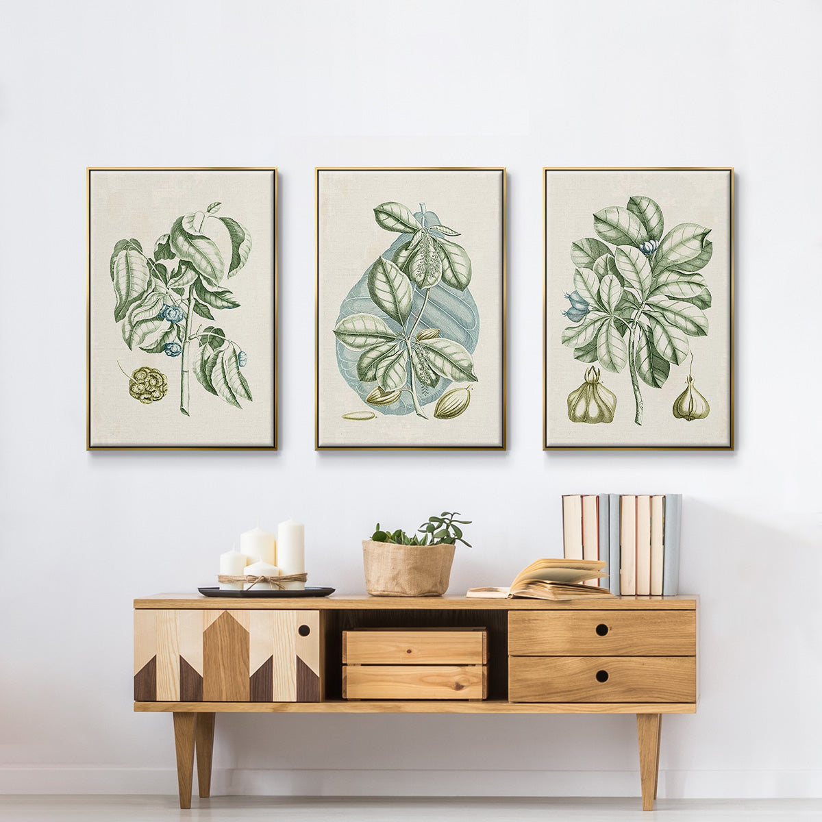Buchoz Tropicals IX - Floater Framed Canvas Set