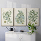 Buchoz Tropicals IX - Floater Framed Canvas Set