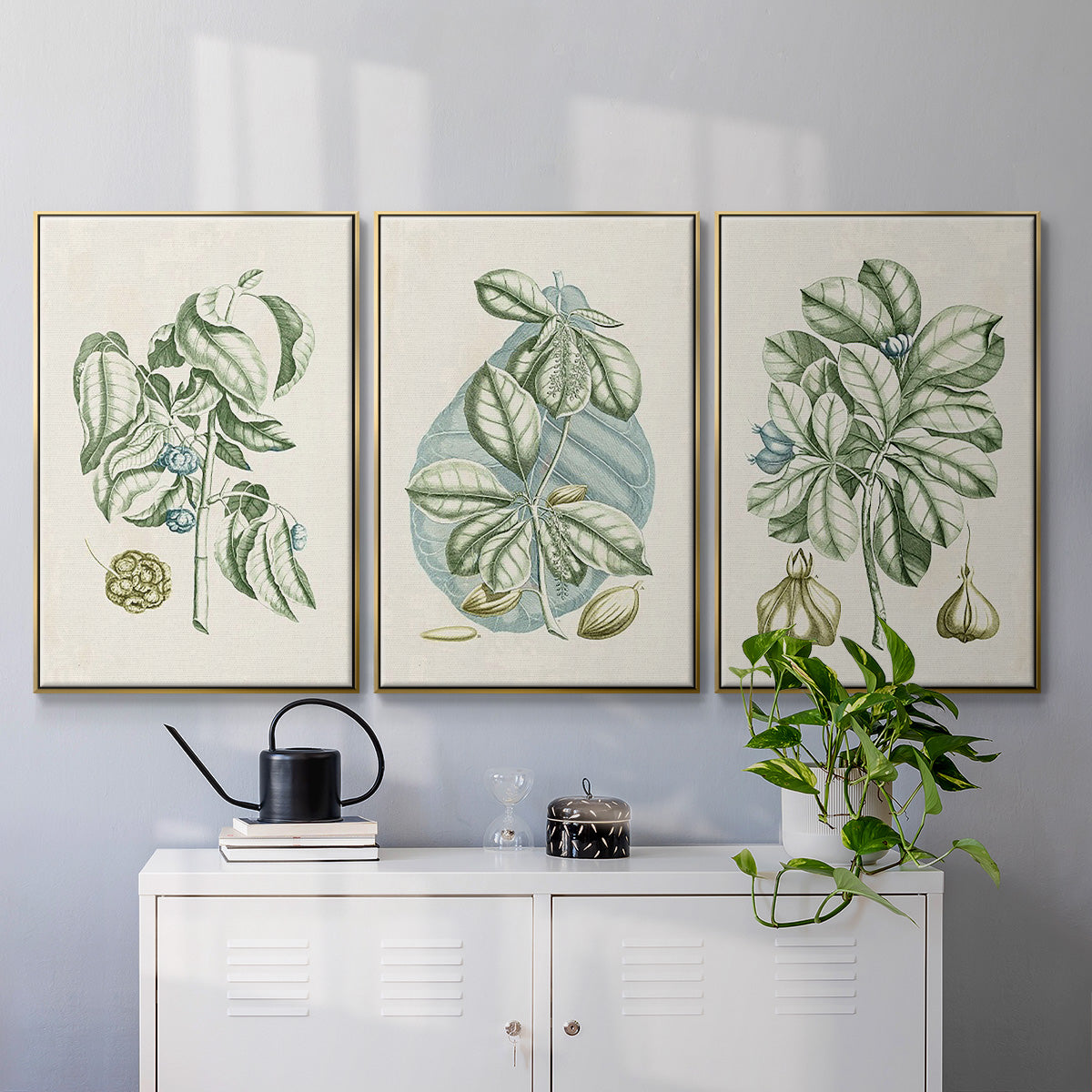 Buchoz Tropicals IX - Floater Framed Canvas Set