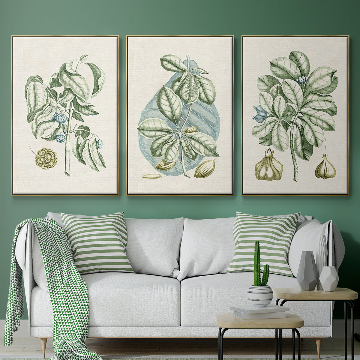 Buchoz Tropicals IX - Floater Framed Canvas Set