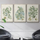Buchoz Tropicals IX - Floater Framed Canvas Set