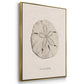 Shore Treasure Study I - Floater Framed Canvas Set