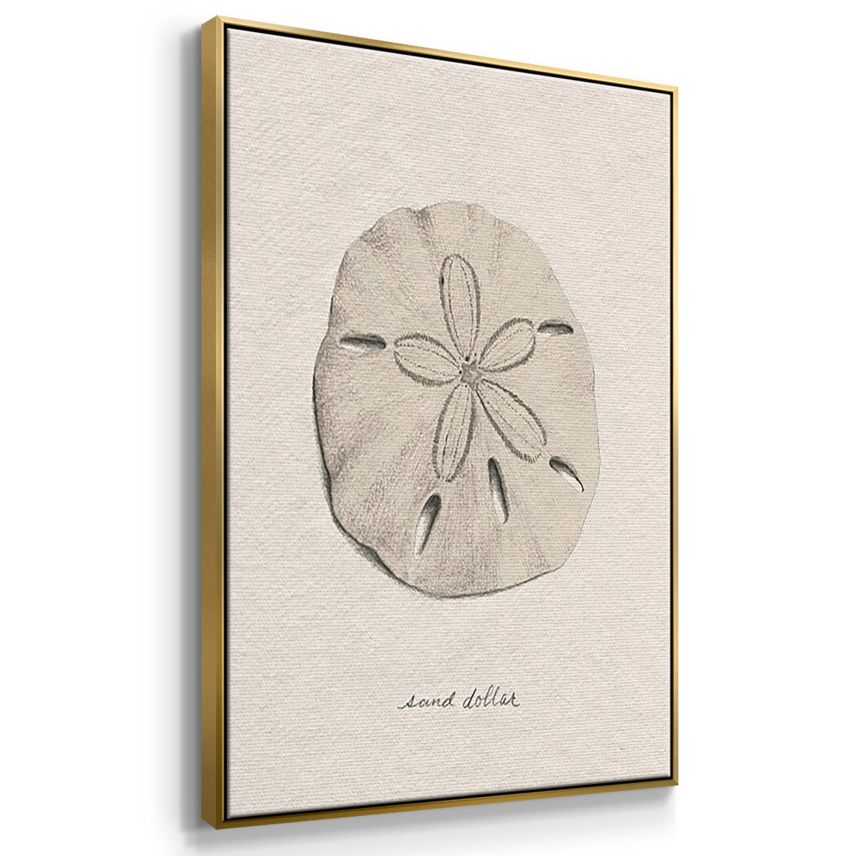 Shore Treasure Study I - Floater Framed Canvas Set