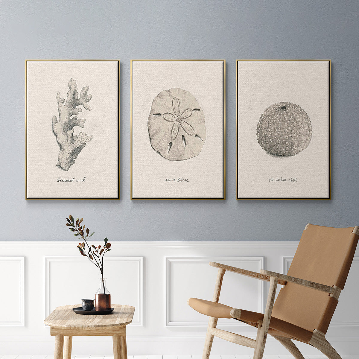 Shore Treasure Study I - Floater Framed Canvas Set