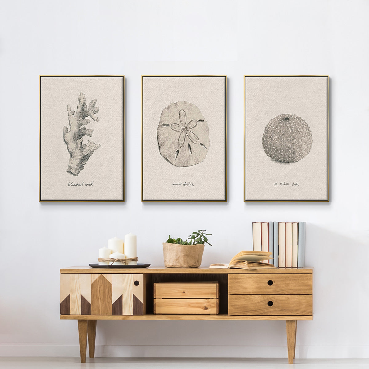 Shore Treasure Study I - Floater Framed Canvas Set