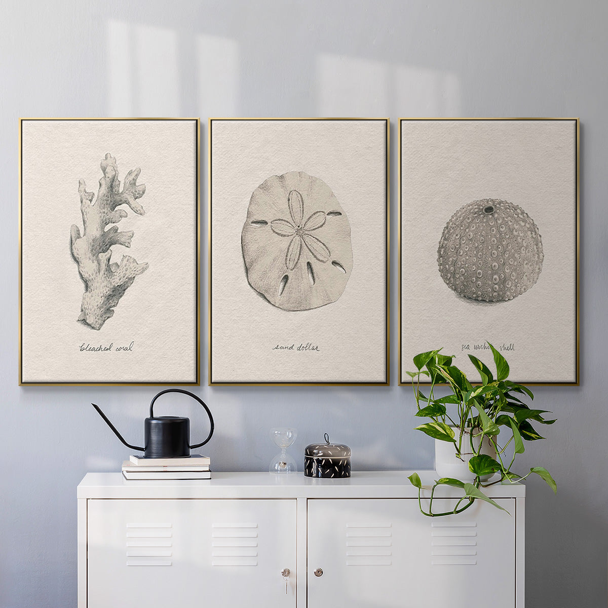 Shore Treasure Study I - Floater Framed Canvas Set