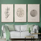 Shore Treasure Study I - Floater Framed Canvas Set