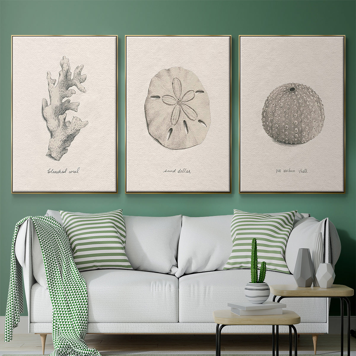 Shore Treasure Study I - Floater Framed Canvas Set