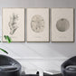 Shore Treasure Study I - Floater Framed Canvas Set