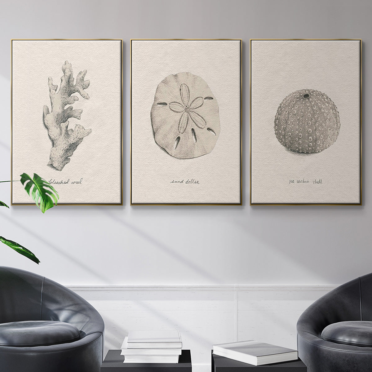 Shore Treasure Study I - Floater Framed Canvas Set