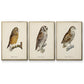 French Owls I - Floater Framed Canvas Set